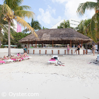 Oasis Palm beach bar