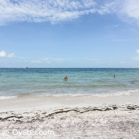 Villa del Palmar Cancun beach, courtesy Oyster.com