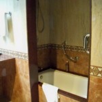 Tub/shower combo pre-renovation