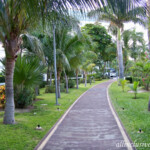 Walkway to Riu Cancun by the street