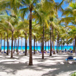 Natural shade at the beach
