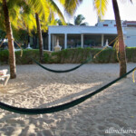 Beach hammock area on the south side