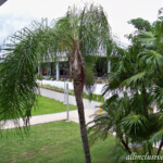 View from 2nd floor balcony