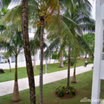 View from 2nd floor balcony Riu Playacar Standard Double balcony view