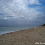 Looking south along the beach