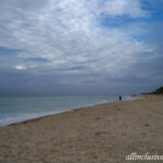 Looking south along the beach