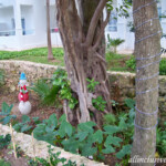 A Christmas surprise along the main walkway