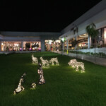 Looking back at the lobby and bars