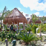 Poolside Bali bed Dreams Playa Mujeres poolside Bali bed