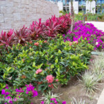 Beautiful grounds Dreams Playa Mujeres grounds