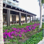 Maris Restaurant outdoor seating Dreams Playa Mujeres Maris restaurant outdoor seating