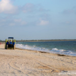 Dreams Playa Mujeres tractor cleaning up the sea grass