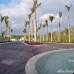 The road leading to Dreams Playa Mujeres Dreams Playa Mujeres
