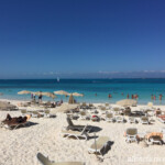 Beach area with shade umbrellas
