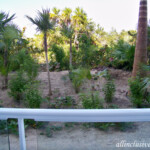 View from the balcony--we were on the ground floor