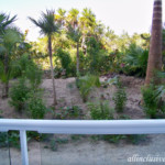 View from the balcony--we were on the ground floor