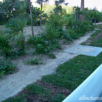 View from the balcony