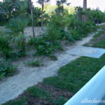 View from the balcony