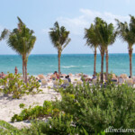 The beach Hotel Riu Dunamar beach