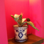 Oceanfront Suite Adults-Only Hotel Xcaret Mexico Oceanfront Suite Adults-Only