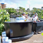 Hotel Xcaret Mexico beach bar
