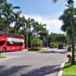 A shuttle bus traveling along the main road which connects all five resorts Barcelo Maya Grand Resort main road and shuttle service