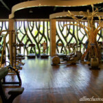 Inside the gym Barcelo Maya Colonial gym