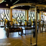 Inside the gym Barcelo Maya Colonial gym