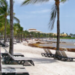 View from the Tropical beach area towards the Palace. Lots of sargassum when we were there in July. Barcelo Maya Tropical beach