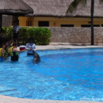 Dolphinaris at the Caribe Barcelo Maya Caribe Dolphinaris