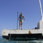Use the ladder or jump off the pier to snorkel Barcelo Maya Colonial snorkeling