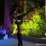 Pre-Chic entertainment Grand Palladium Costa Mujeres pre-Chic entertainment