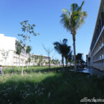 TRS Coral Hotel grounds TRS Coral Hotel grounds