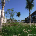 TRS Coral Hotel grounds TRS Coral Hotel grounds