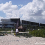 TRS beach section TRS Coral Hotel beach section