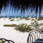 TRS Coral Hotel beach bar view