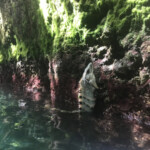 Finding a cool place to hang out for awhile Xcaret Park underground rivers