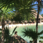 A placid cove--perfect for families with young children who want to take a swim Xcaret Park swimming area