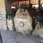 Dos Playas, lunch buffet Xcaret Park buffet restaurant