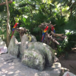 Grounds Xcaret Park grounds