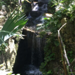 Aviary Xcaret Park aviary