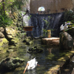 Aviary Xcaret Park aviary