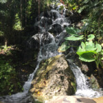 Grounds Xcaret Park grounds