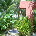 Resort grounds Live Aqua Beach Resort Cancun resort grounds