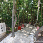 Jungle path from the buffet area to the pools and beach Iberostar Tucan jungle path