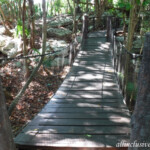 Walkway from the theater to the jungle path Iberostar Tucan jungle path