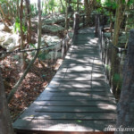 Iberostar Tucan jungle path