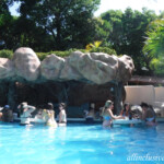 Swim-up bar Iberostar Tucan/Quetzal swim-up bar