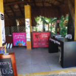 Temporary tattoo anyone? Iberostar Tucan/Quetzal temporary tattoo