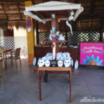 Paint ceramics for an extra cost Iberostar Tucan/Quetzal ceramic painting